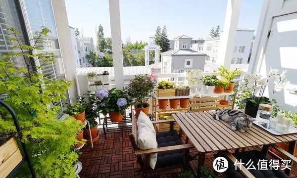打造网红花园阳台,只要500元?