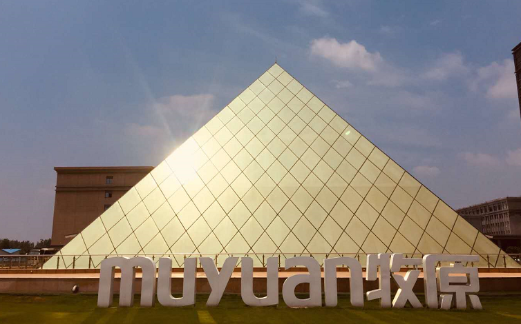 养猪企业半年净利过百亿